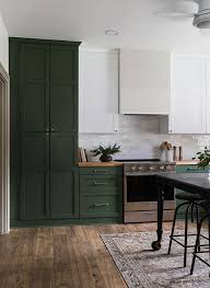 Green Kitchen Cabinet Inspiration