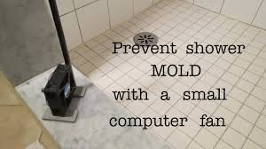 how to prevent shower mold that