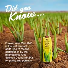 It can also be used on the skin prior to ultrasonic treatment, or after electrolysis. Forever Living Products Business Owner And Distributor