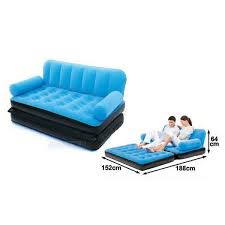 Sofa Cum Bed Colored Ping