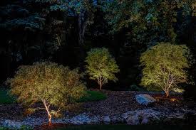Why Lighting Your Japanese Maple Tree