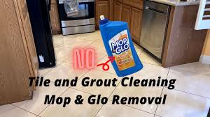 tile and grout cleaning mop glo not