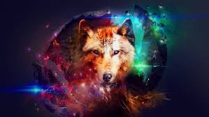 wolf wallpapers 3d wallpaper cave