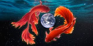 fish symbolism spiritual meanings of
