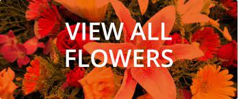 We did not find results for: Wholesale Flowers Florist Supplies Uk