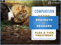 Bravecto Vs Nexgard Our 2019 In Depth Comparison
