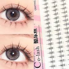 segment cer eye lashes ebay