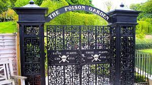 poison garden at alnwick garden