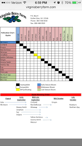 Apple Pollination Chart And Month S Youll Have Fruit From