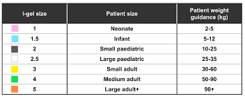 Paediatric Sga Sizes Openairway
