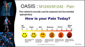 Ppt Oasis Outcome And Assessment Information Set Wound