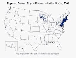 Lyme Disease Is Spreading Faster Than Ever And Humans Are