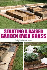 How To Start A Raised Garden Over Grass
