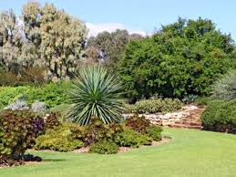 Australia Garden Design How To Grow
