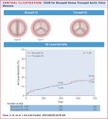 Outcomes In Transcatheter Aortic Valve Replacement For