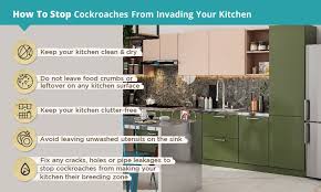 get rid of roaches in the kitchen