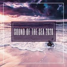 You bensound with a link (in the description for a video). Ocean Waves Sounds To Sleep Mp3 Song Download Ocean Waves Sounds To Sleep Song By Seashore Waves Sound Of The Sea 2020 Gentle Ocean Waves Soothing Sounds To Study And