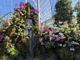 new york botanical garden s orchid show
