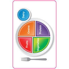 Usda Food Plate Educational Laminated Chart
