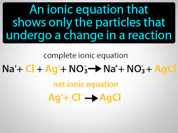 Net Ionic Equation Definition Image