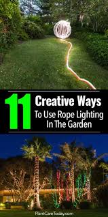 11 Creative Ideas For Using Rope Lighting In Your Garden