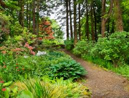 8 Woodland Garden Ideas You Ll Love