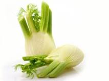 Is anise the same as fennel?