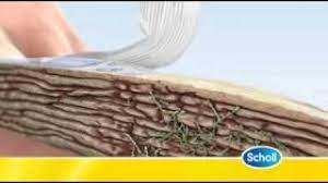 scholl fungal nail treatment you