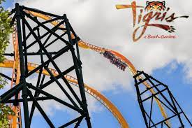 busch gardens ta to open tigris in