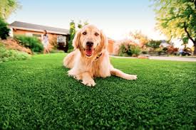 is an artificial lawn safe for pets