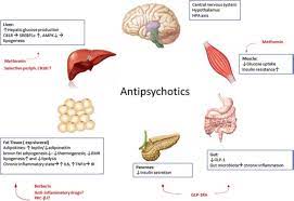 s that affect body weight body fat