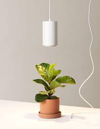 Grow light stands | tabletop grow light stands | grow light fixtures & bulbs. The 8 Best Grow Lights Of 2021