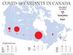 Another solution for reddit servers down is by clearing your local dns cache. The State Of Covid 19 Variants In Canada Ontario Has More Than Half The Cases National Post