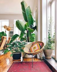 30 Modern Indoor Garden Ideas For This