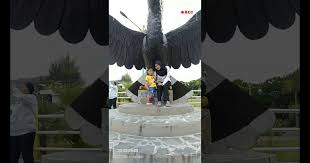 At the geographic centre of maritime southeast asia, in. Enggang Borneo Kemos Enggang Borneo Kemos Sound Of A Hornbill Pahang Hornbill Sound Hornbill Youtube Dayak Borneo Colorful Pattern Background Balikpapan City Tour Packages