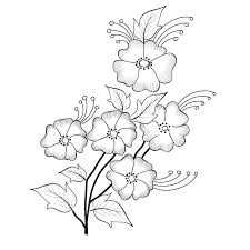 vector line art and hand drawing flower