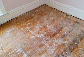 third coat of floor varnish