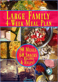 large family 4 week meal plan large