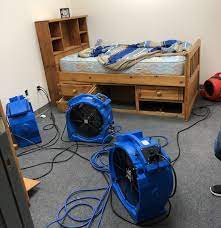 electric bed bug heater package