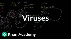 Viruses Video Khan Academy
