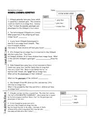 In tomatoes, red fruit is dominant over yellow fruit. Oompa Loompa Genetics Worksheet Fill Online Printable Fillable Blank Pdffiller