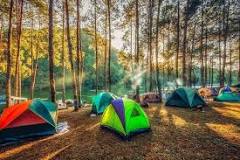 How many types of camping are there?