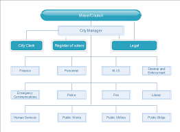 Matrix Structure Diagram Advantages Disadvantages Examples