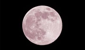 See here the moon phases, like the full moon, new moon for april 2021 including exact date and times. Pink Moon 2021 When Is The Pink Moon Over The Uk Science News Express Co Uk