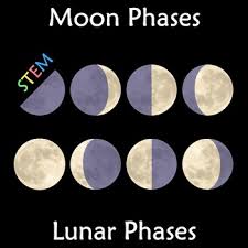 Moon Phases Lunar Phases Wall Display Anchor Chart