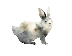 Animal art animal watercolor painting animal print rabbit - Etsy Nederland