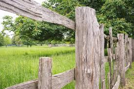 Low Angle Shot Of Rustic Wooden Fence