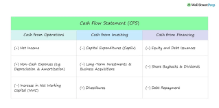 Cash Flow Statement Cfs Format