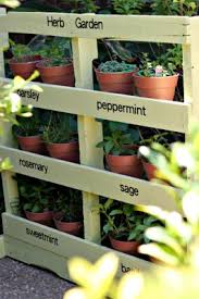 make an herb garden from a pallet