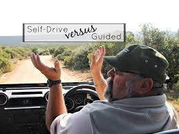 self drive versus guided game drives